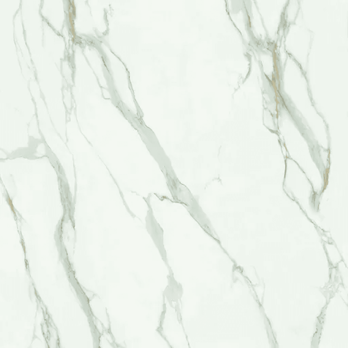 Calacatta Naxos Lucido