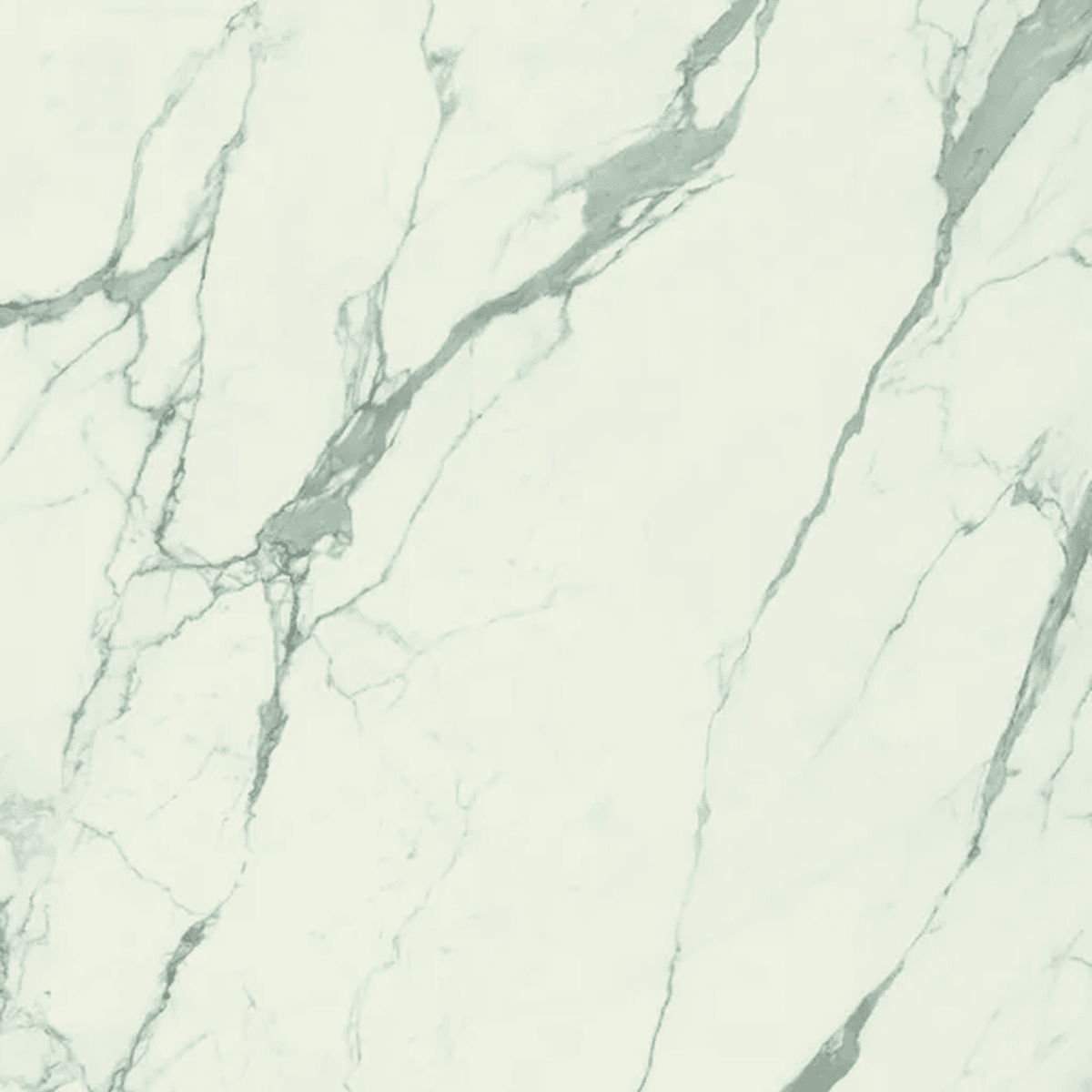 Calacatta Staturio Opaco